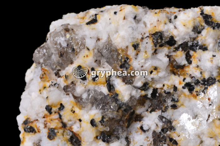 Granite altéré (vue macroscopique) - gryphea.com